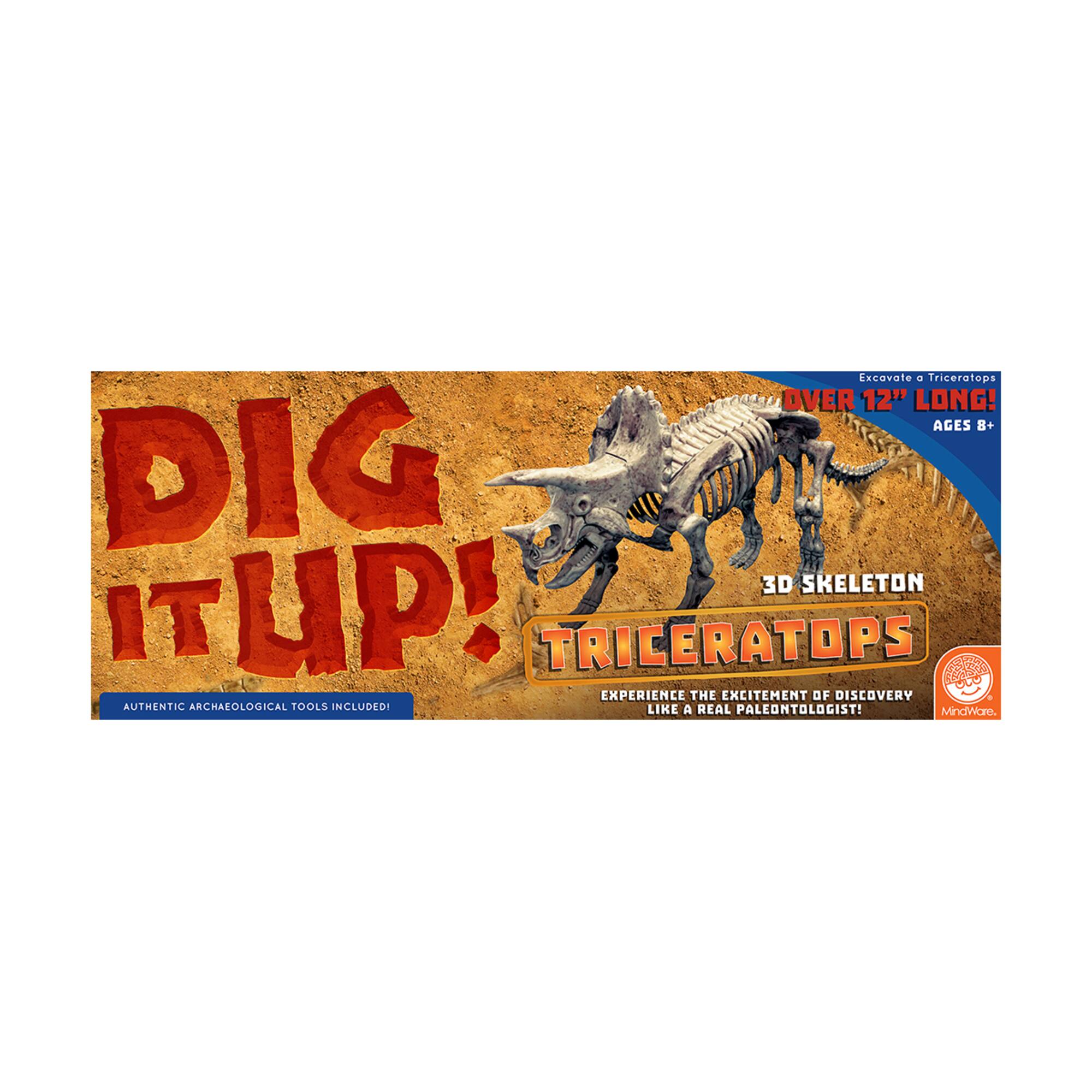 Dig It Up! - Dino Model: Triceratops